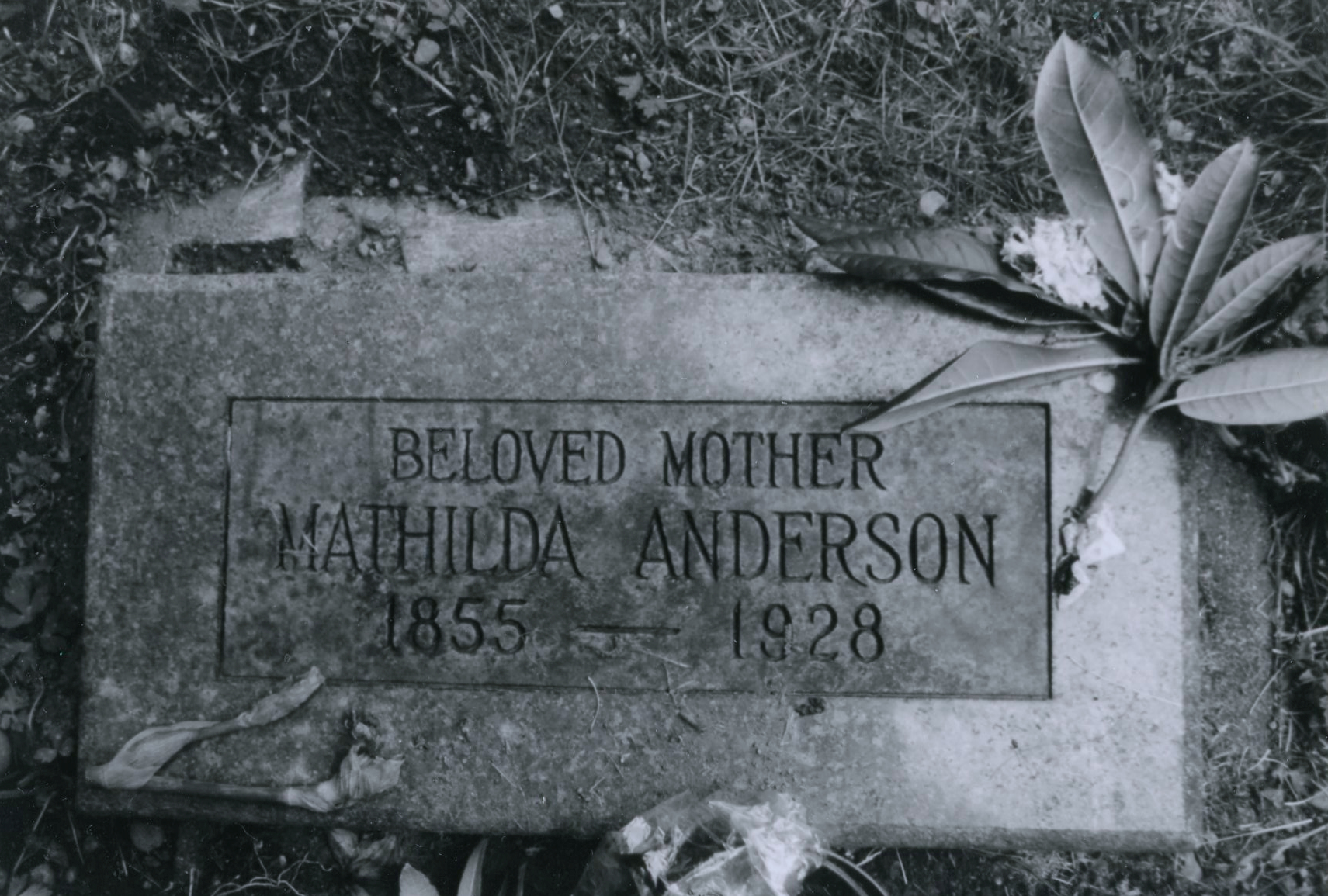 Anderson, Mathilda