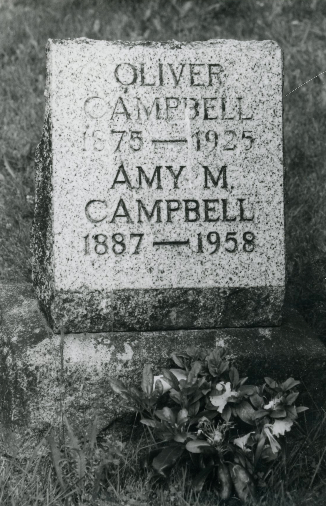 Campbell, Amy M