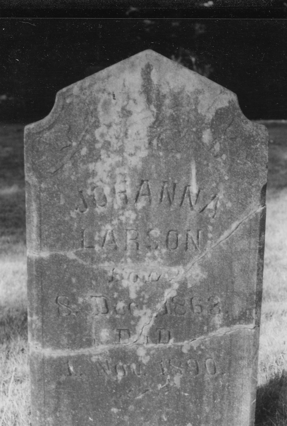 Larson, Johanna