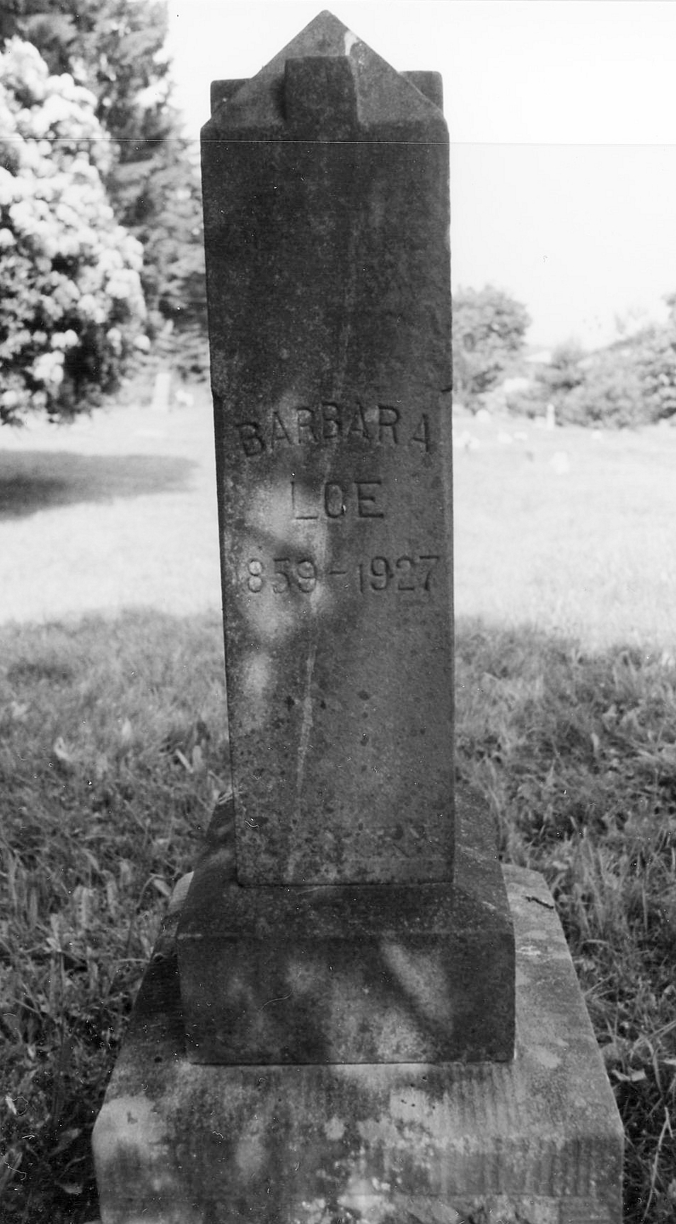 Loe, Barbara