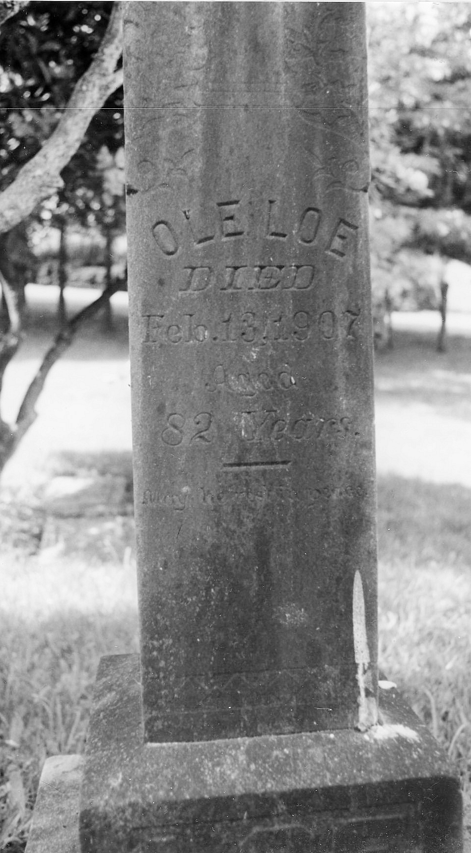 Loe, Ole