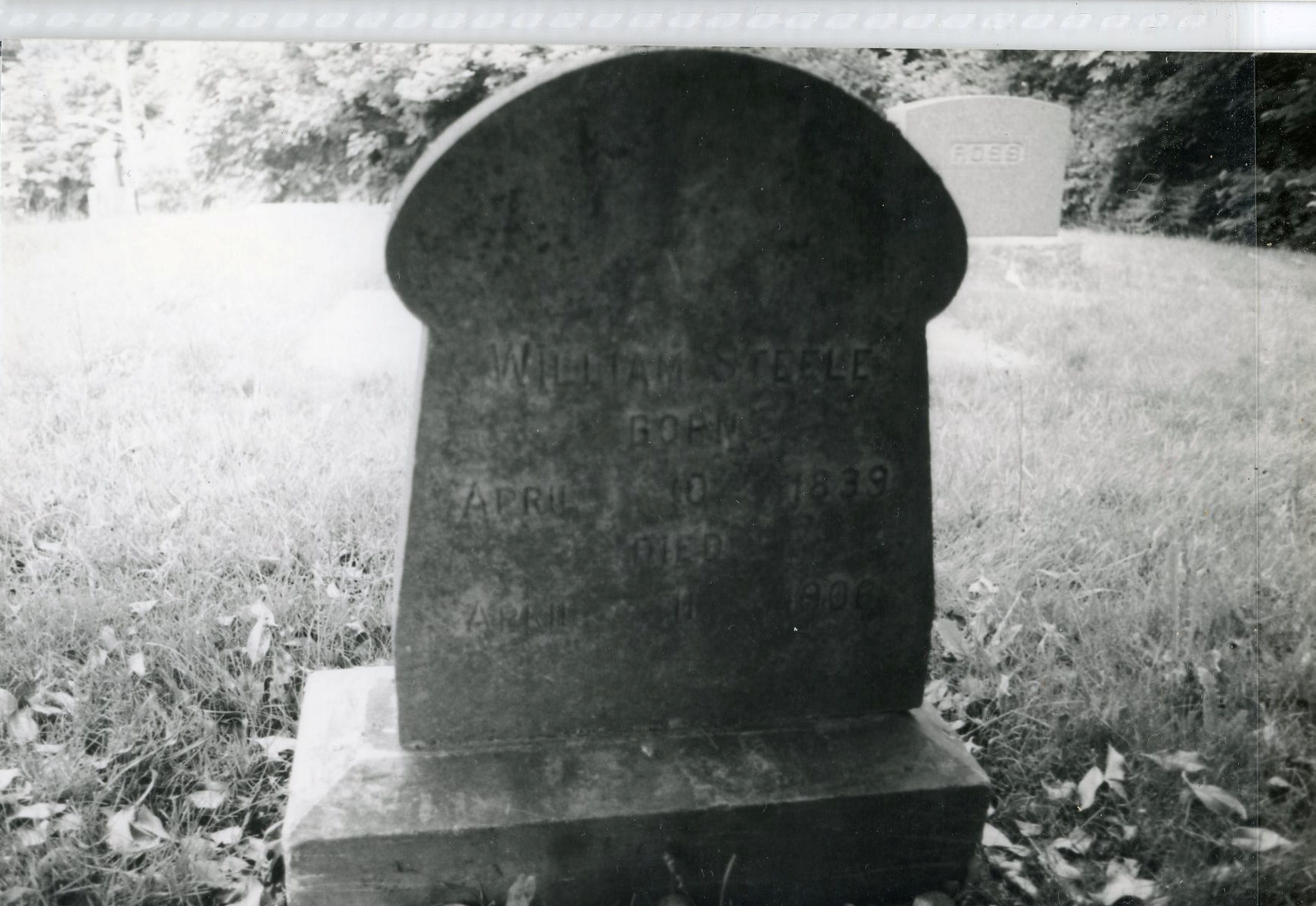 Steele, William