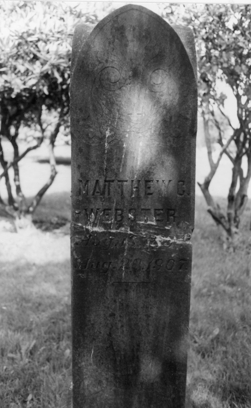 Webster, Matthew C
