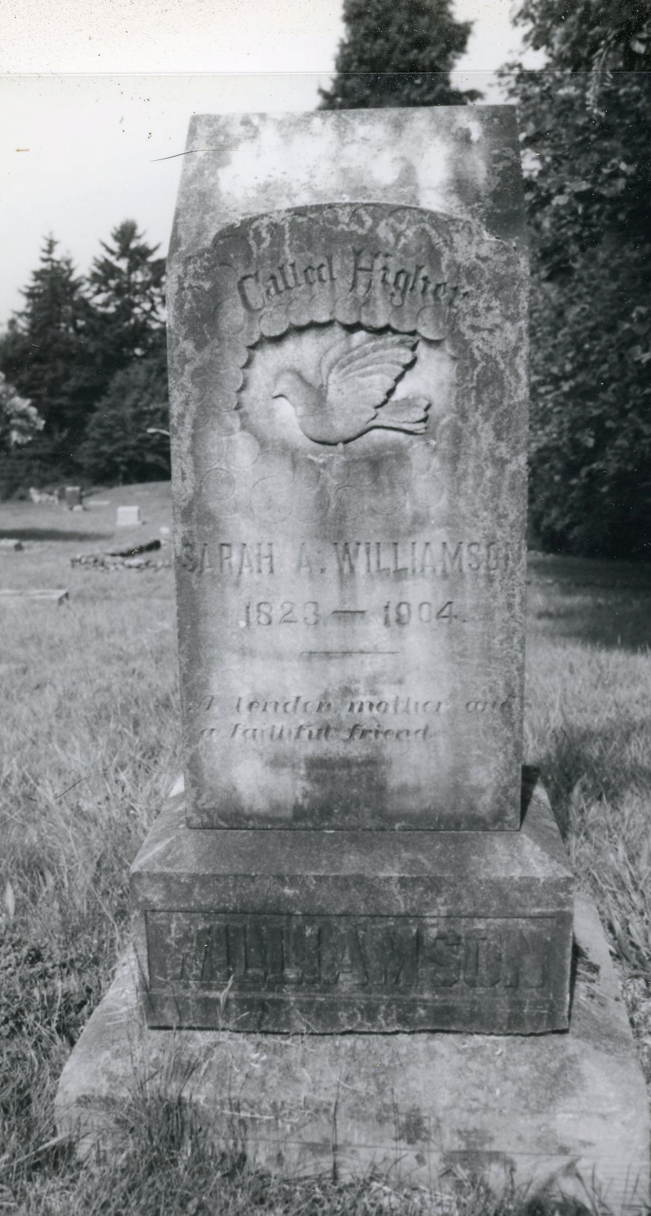 Williamson, Sarah A