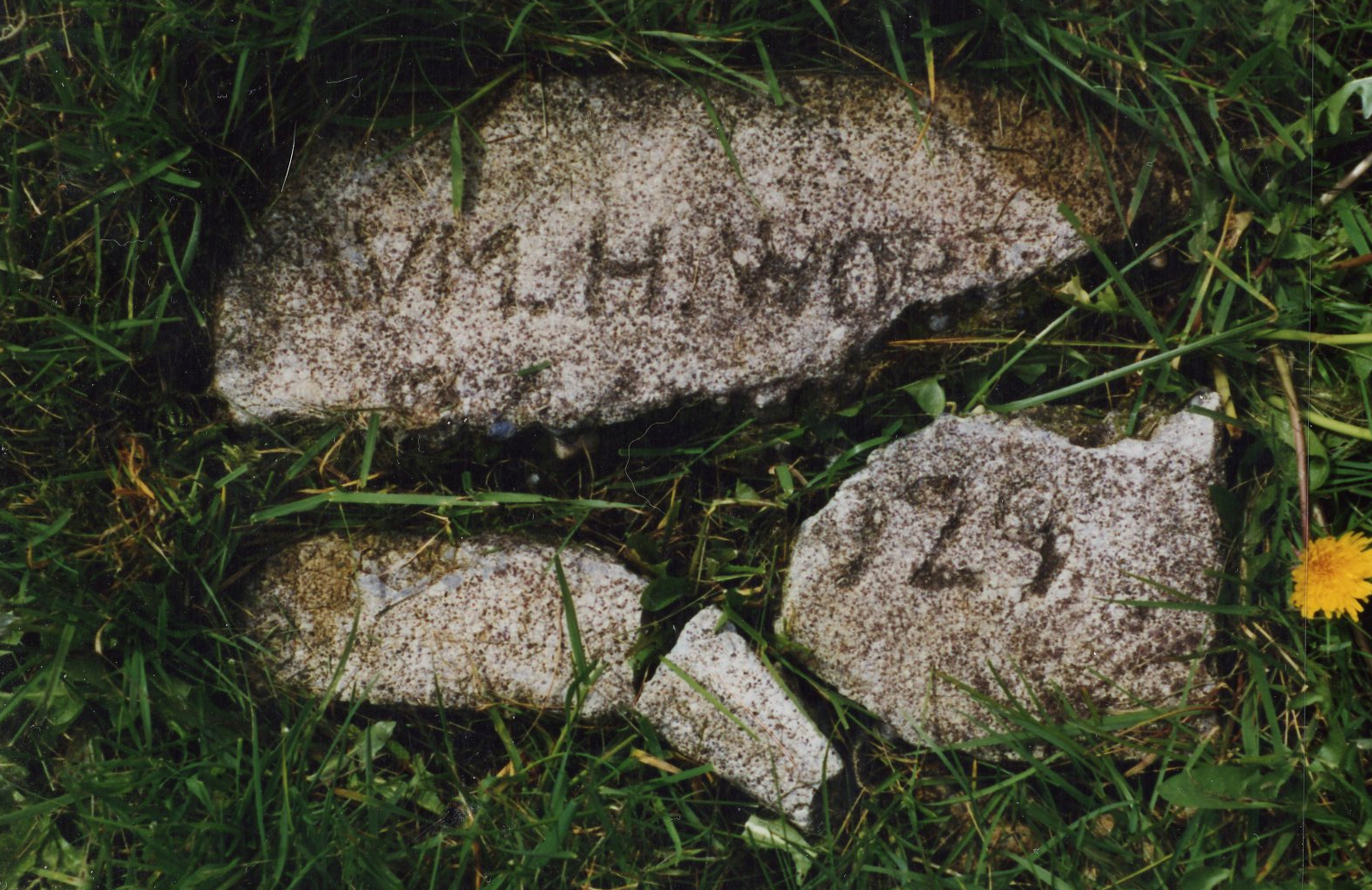 Worth, William H