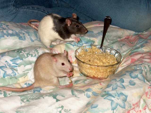 Christina and Charlie