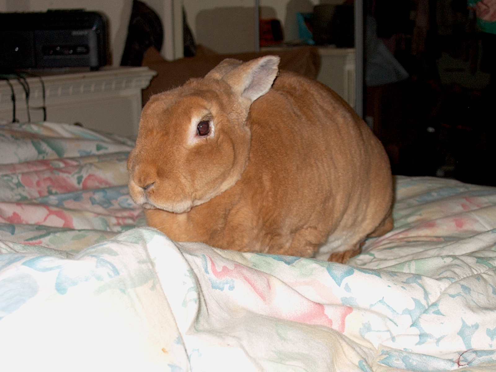 Sarah sitting pretty