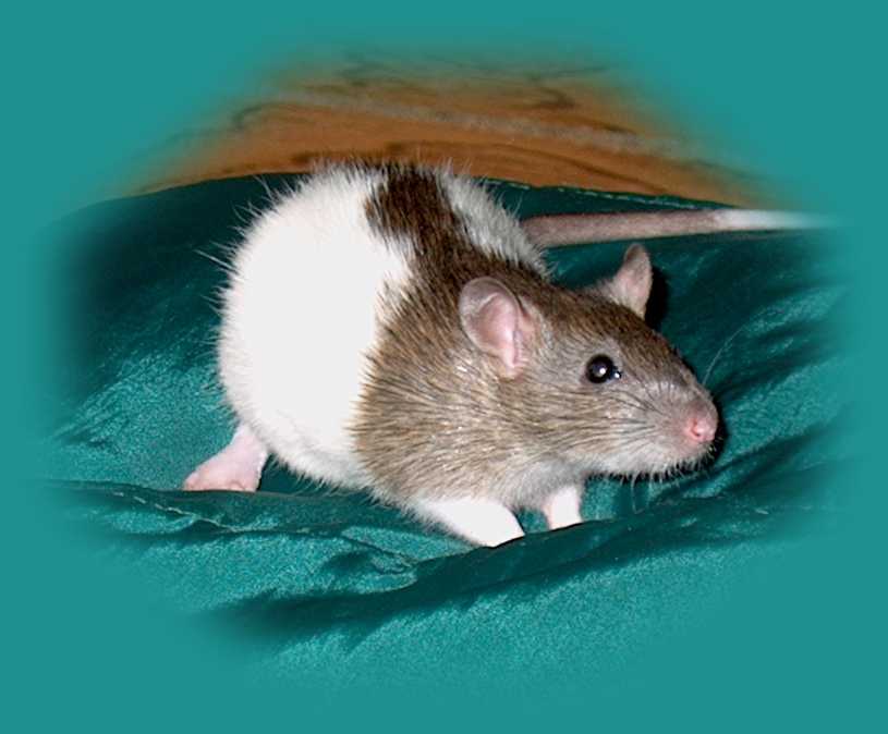 CiCi the day after she arrived